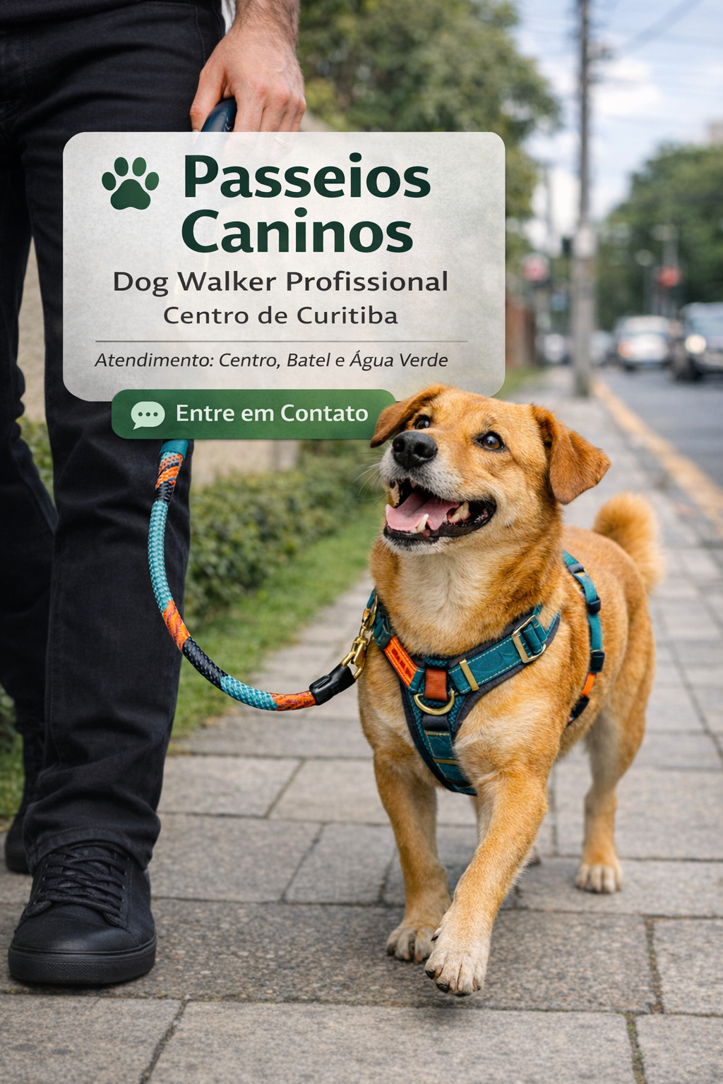 Passeios Caninos em Centro de Curitiba